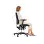 Bioswing 260 IQ (mit Sitzneigung) - Bestseller