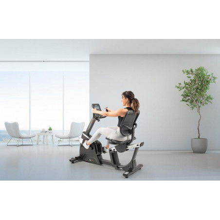 BRX RECUMBENT 300