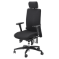 Bioswing 360 iQ mit Nackenstütze