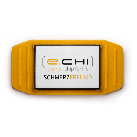 e.CHI SchmerzFreund