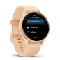 Vivoactive 6 Pink Dawn/Pink Dawn Metallic mit Schnellwechsel-Silikon-Armband 20 mm (010-02985-03)